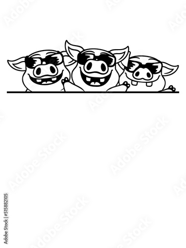 Witzige Schweine Crew Sonnenbrillen 