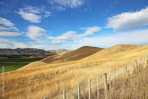 Grass hills - New Zealand