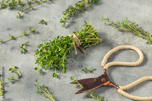 Raw Green Organic Thyme Herb