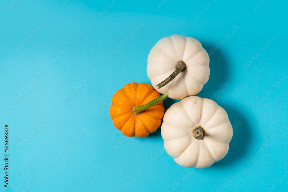 Obraz premium pumpkin on table