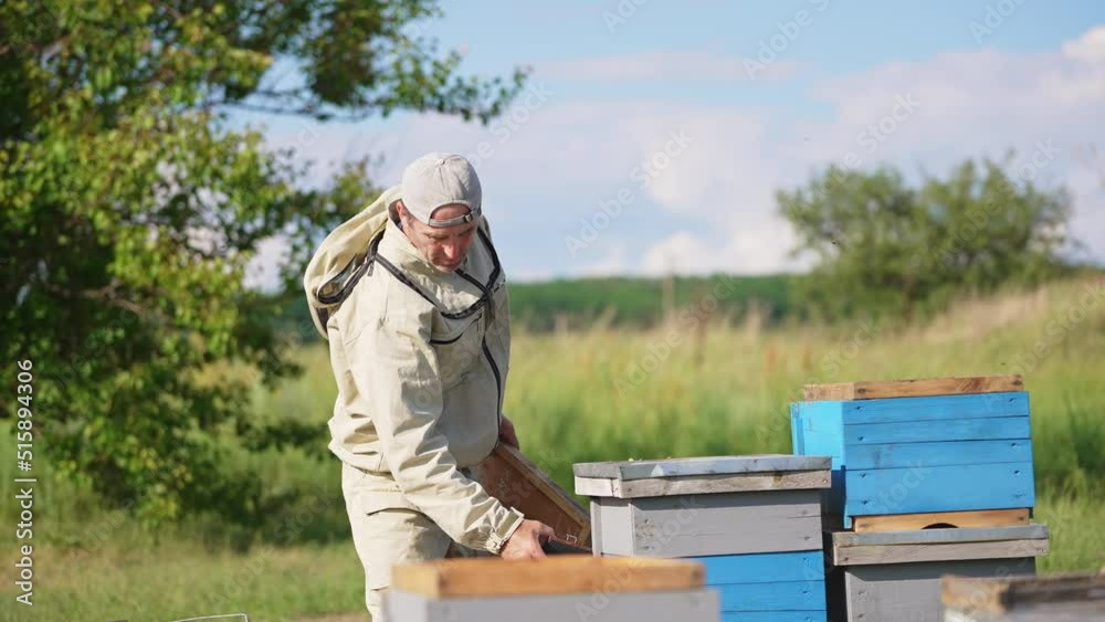 Male apiarist uses a smoker and a brush in his work at apiary. Checking up the bees and honey harvest on sunny summer day. Male apiarist uses a smoker and a brush in his work at apiary. Checking up the bees and honey harvest on sunny summer day.