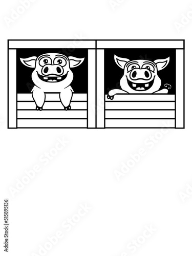 Team 2 Stall Schweine 