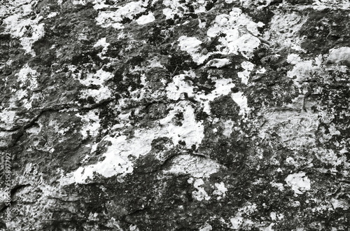 Shabby Stone Texture. Black and White Background. Texturized stone Pattern