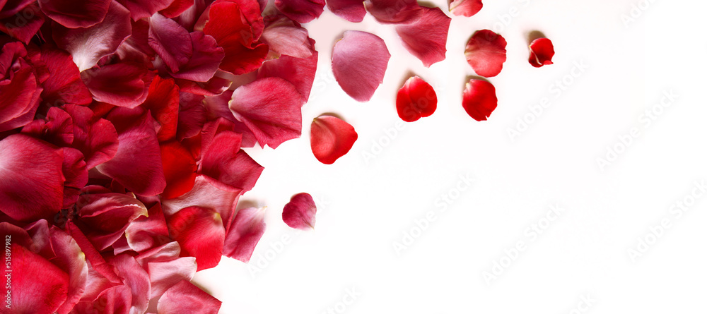 Natural background of rose petals Natural background of rose petals