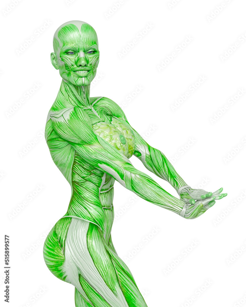 female bodybuilding in muscle maps is doing a bodybuilder pose five in white background close up view female bodybuilding in muscle maps is doing a bodybuilder pose five in white background close up view