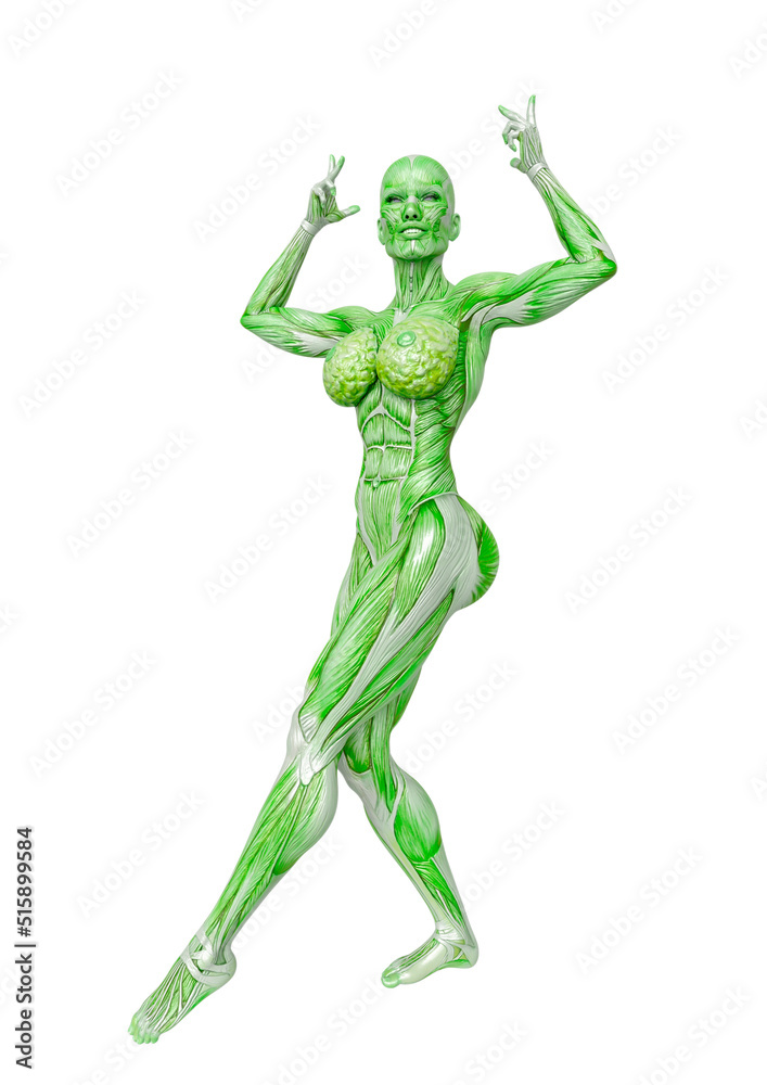 female bodybuilding in muscle maps is doing a bodybuilder pose nine in white background close up view