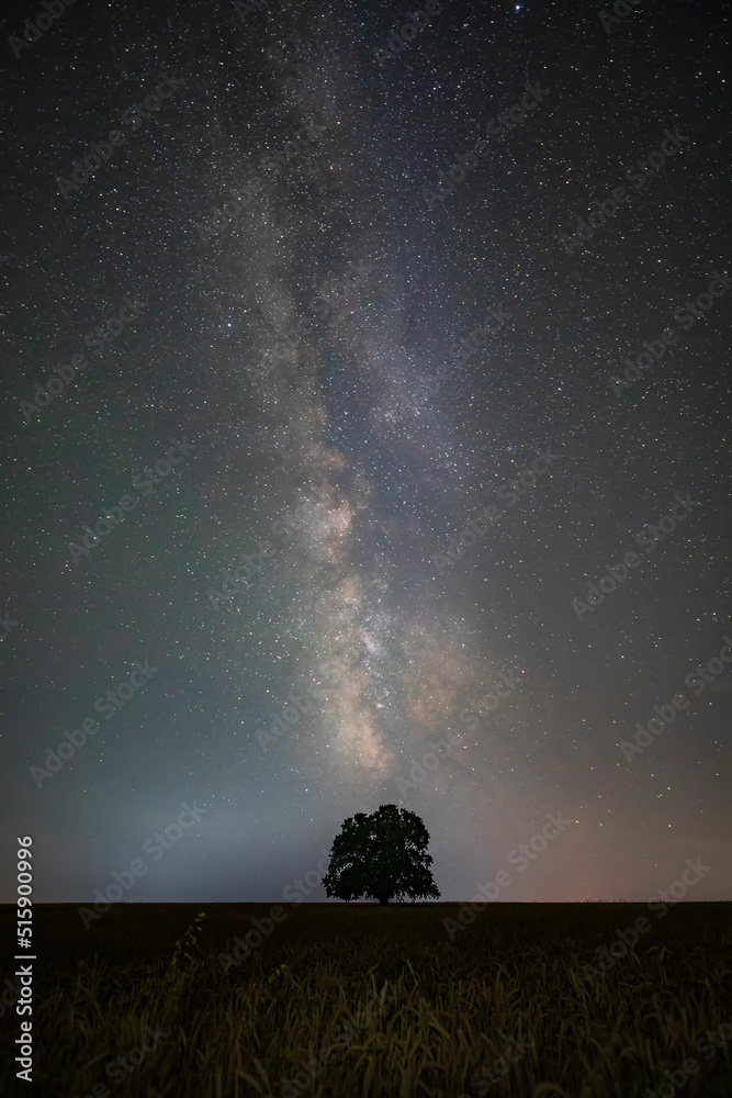 Milky way and lonely oak in the field Milky way and lonely oak in the field
