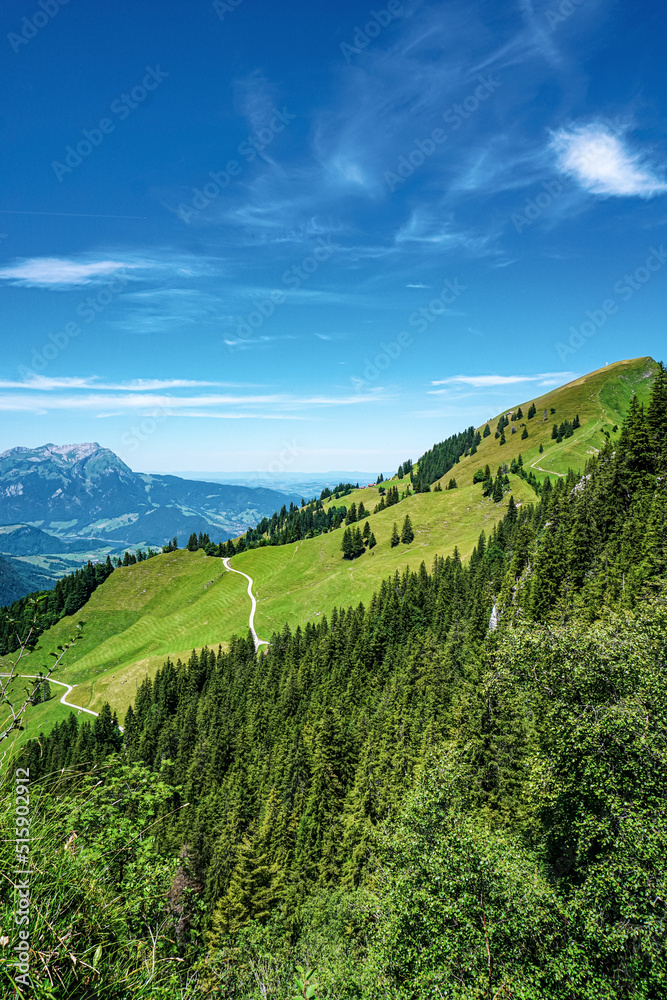 Idyllic landscape in the Alps with fresh green meadows and blooming flowers