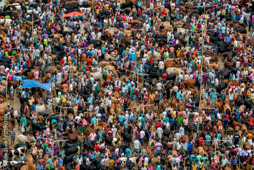 Eid ul Adha Cattle Market in Bangladesh photo