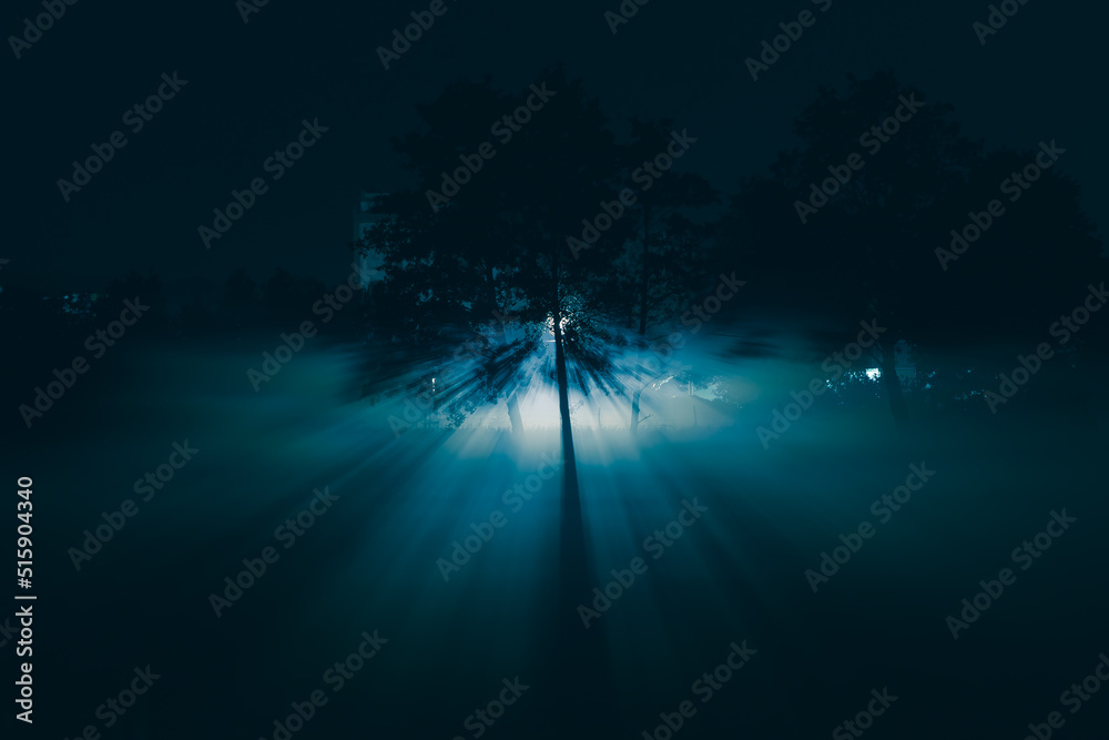 Oświetlone drzewo nocą we mgle - obrazy, fototapety, plakaty 