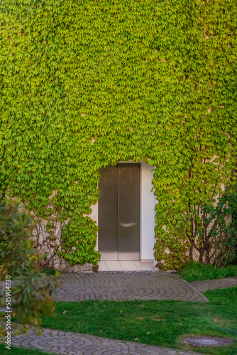 Outdoor elevator doors in a tower overgrown with three-walled parthenocissus