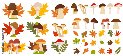 mushroom leaves autumn set in flat style, isolated, vector