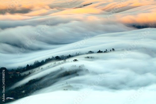 Canvas Print Fog Wave on Mountain Tamalpais, California