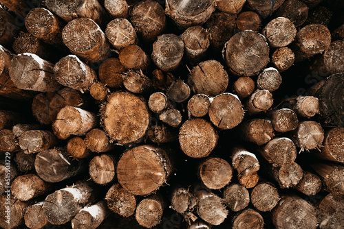 Pine log Pile in Minnesota