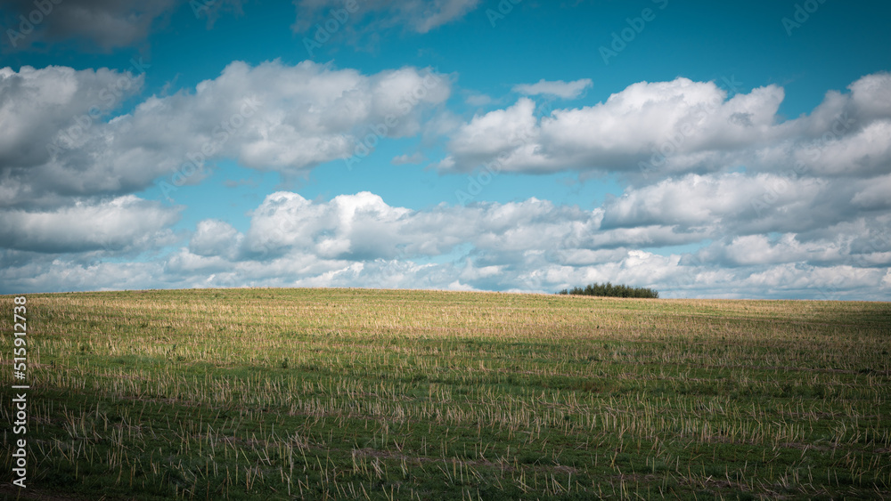 Sunny summer landscape. Agricultural hilly field after harvest with passing white clouds in the blue sky. Sunny summer landscape. Agricultural hilly field after harvest with passing white clouds in the blue sky.