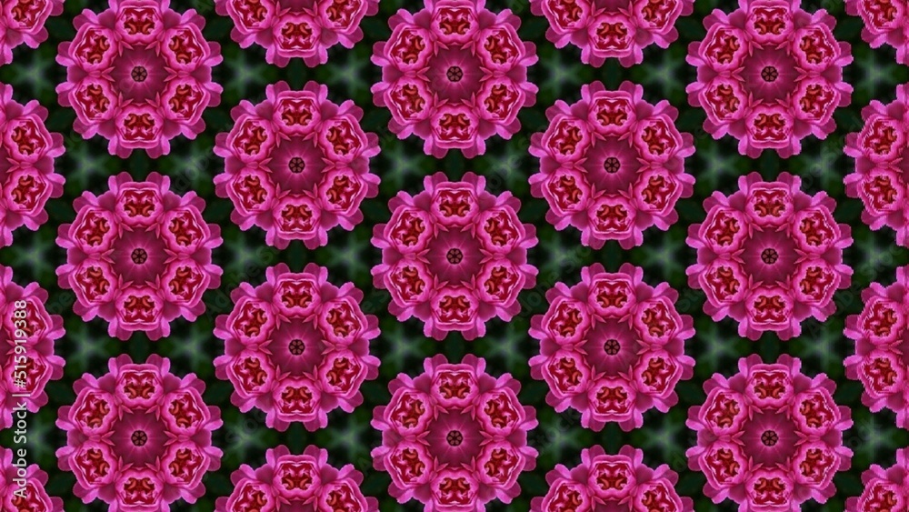 Pattern of pink rose. Pink flower background. Pattern of pink rose. Pink flower background.