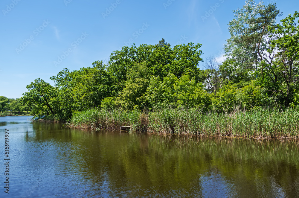 Fototapeta premium Bank of river that flows in wooded area