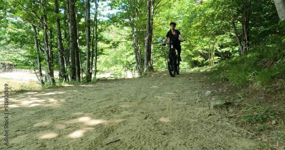 Ebike Ebike