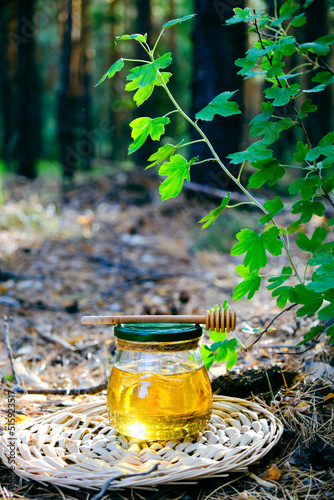 Jar of fresh honey and spoon for honey in forest.