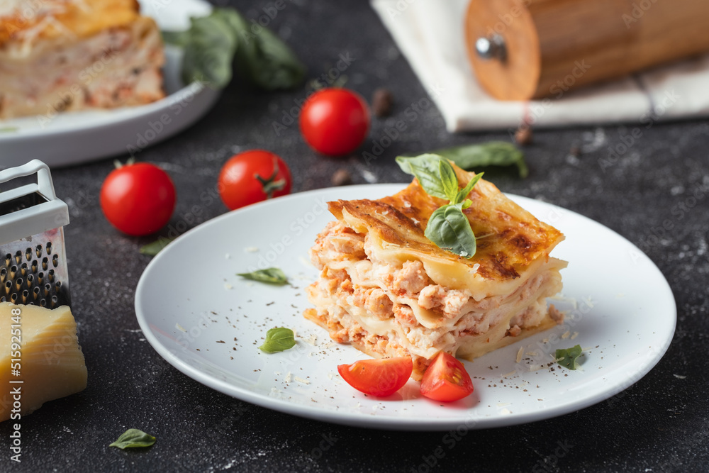 Lasagna cut piece on the white plate. Traditional Italian layered dish with dough and balls of minced meat with parmesan cheese, basil and tomato sauce Lasagna cut piece on the white plate. Traditional Italian layered dish with dough and balls of minced meat with parmesan cheese, basil and tomato sauce