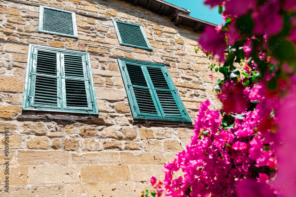 Blooming bougainvillea flowers on old stone wall of house with wooden windows background.