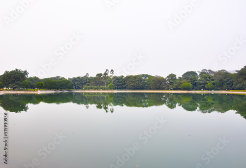 Shore reflecting in the lake, Kolkata, West Bengal, India