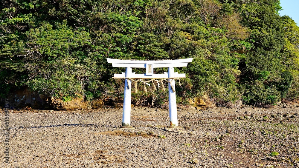 干潮時の参道が現れた小島神社の鳥居