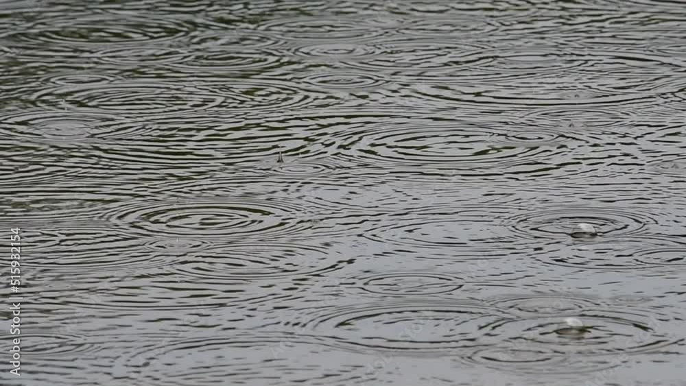 traces of raindrops on the mirror surface of the lake on a cloudy day, 4k macro video traces of raindrops on the mirror surface of the lake on a cloudy day, 4k macro video