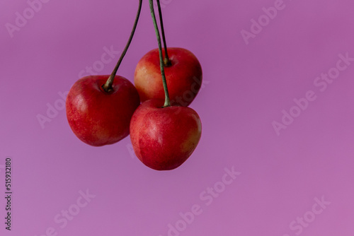 Three ripe fresh cherries with a ponytail on a purple background close-up. Healthy food. Vegan breakfast.