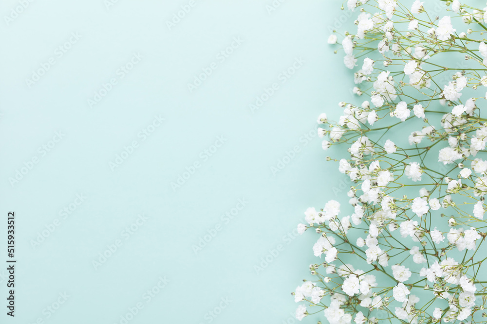 Beautiful flower background of pink gypsophila flowers. Flat lay, top view. Floral pattern. Beautiful flower background of pink gypsophila flowers. Flat lay, top view. Floral pattern.