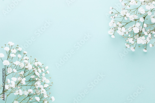 Beautiful flower background of pink gypsophila flowers. Flat lay, top view. Floral pattern.