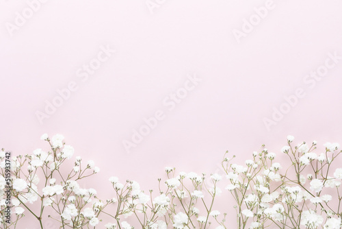 Beautiful flower background of pink gypsophila flowers. Flat lay, top view. Floral pattern.