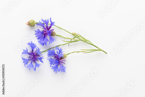 Alternative Medicine. Centaurea cyanus, Cornflower Herb capsule, Nutritional Supplement.