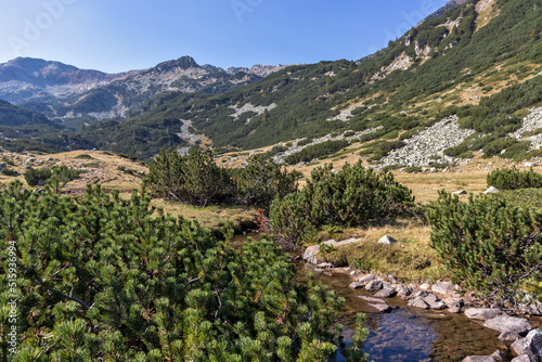 Landscape near Banderitsa River at Pirin Mountain  Bulgaria