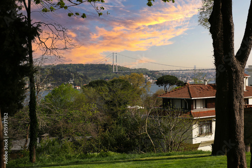 Wonderful view of the Bosphorus Bridge through the forest in Istanbul Emirgan	
