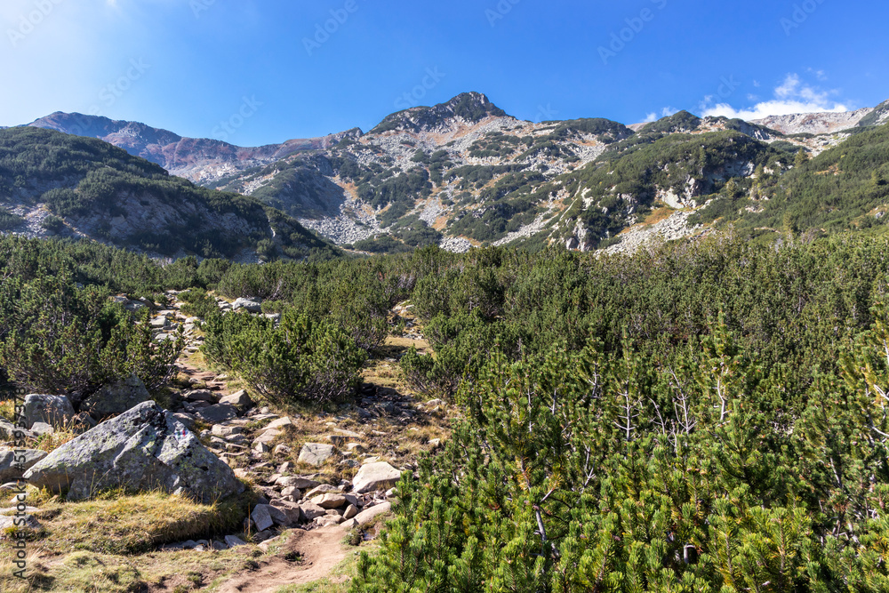 Landscape near Banderitsa River at Pirin Mountain, Bulgaria Landscape near Banderitsa River at Pirin Mountain, Bulgaria
