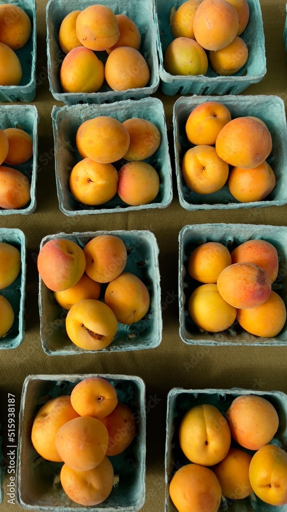apricots at the market in square cartons on tabletop display above view 