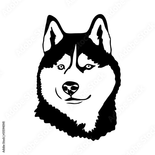 Husky isolated on white background. Stencil. Dog silhouette.