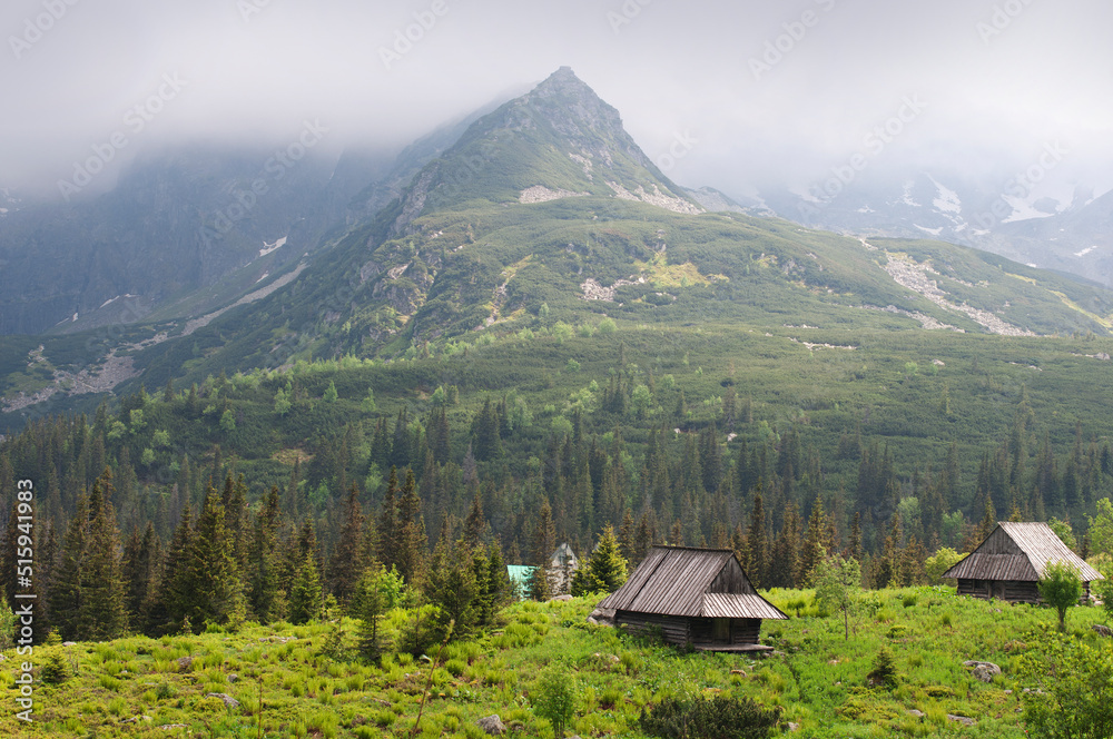 Hala Gasienicowa in Tatra mountains in summer, Zakapane, Poland. Wooden house in the Tatra mountains. Tourist attractions in Poland