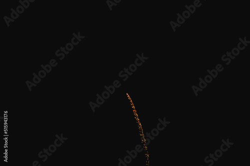 firework on black background