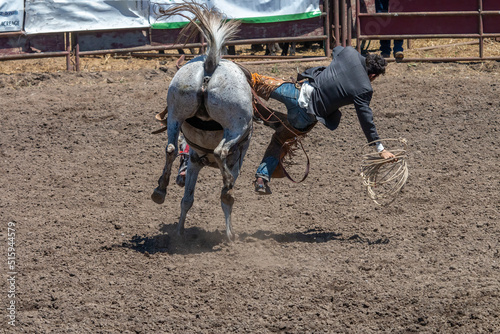 Картината върху платно A rodeo cowboy is falling off a bucking bronco on the right side
