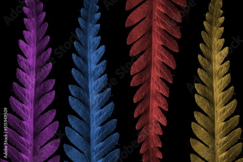 RGB color fern leaves
