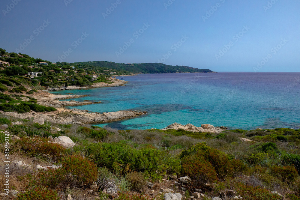 Fototapeta premium nature du sud