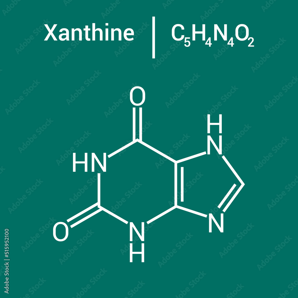 chemical structure of xanthine (C5H4N4O2) Stock Vector Adobe Stock