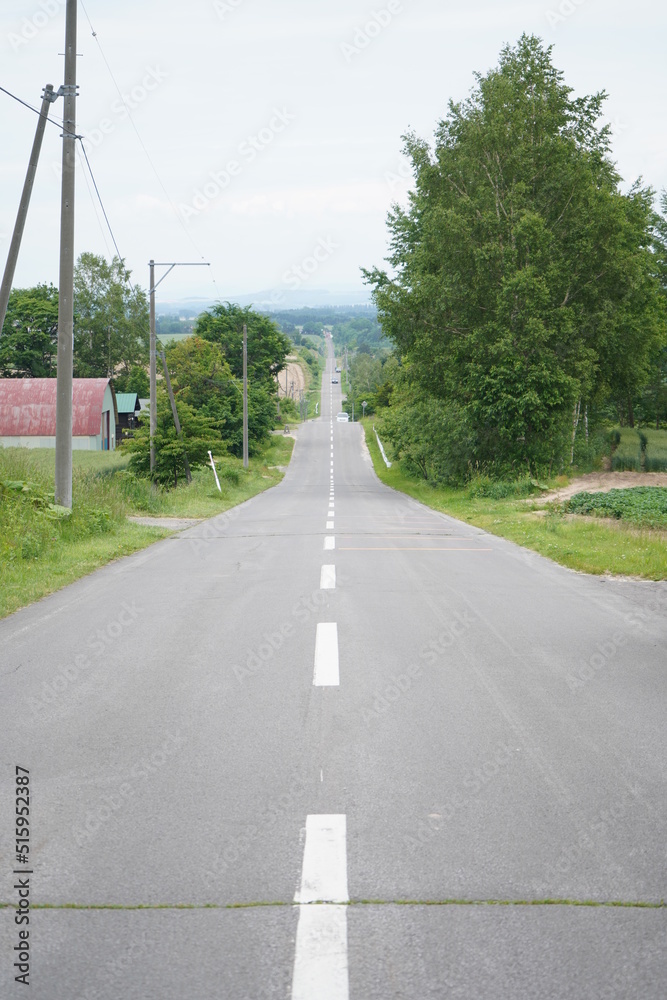 ジェットコースター街道