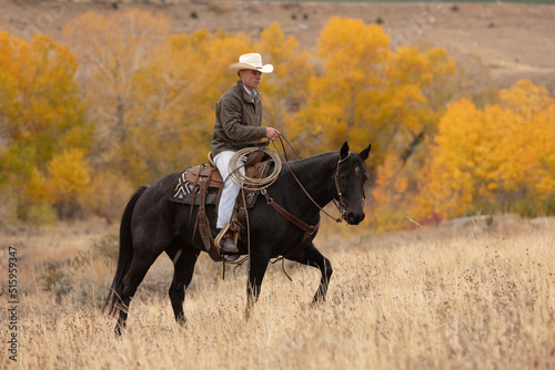 Obraz na plátne Wyoming Cowboy