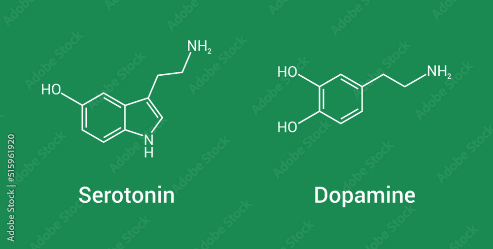chemical structure of serotonin and dopamine Stock Vector | Adobe Stock