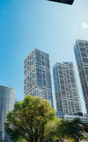 buildings skyscrapers Brickell miami trees nature  © Alberto GV PHOTOGRAP