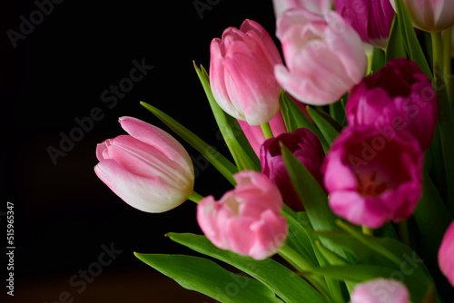 Copyspace with a bunch of colorful tulip flowers against a black background. Closeup of beautiful flowering plant with pink petals and green leaves blooming and blossoming. Bouquet for valentines day © SteenoWac/peopleimages.com