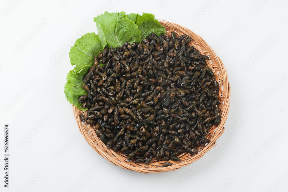 Fototapeta premium 다슬기, clam, 고등, 다슬기알, 음식, 올갱이,음식,음식재료